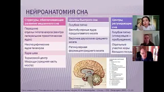 Расстройства сна. Нарколепсия и сонный паралич.