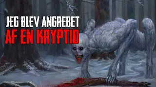 Jeg Blev Angrebet Af En Kryptid - Dansk Creepypasta