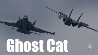 DCS Cinematic | GHOST CAT