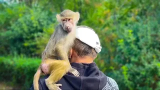 Обезьянка Люся услышала про подарки и ПОСПЕШИЛА домой!