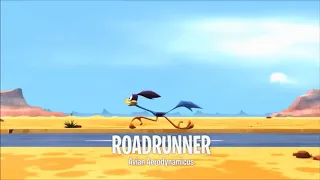 Bipbip-Roadrunner ve Coyote Çizgi film Part 1