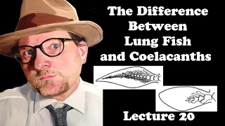 Lecture 20 The Difference between Lung Fish and Coelacanths