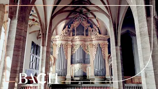 The Silbermann organ in Freiberg | Netherlands Bach Society