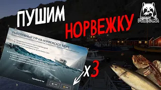 🐠 Норвежское море с первого уровня | Русская Рыбалка 4 | РР4