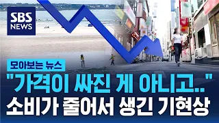 "가격이 싸진 게 아니고.." 휴가철인데 역성장? 소비가 줄어서 생긴 기현상 / SBS / 모아보는 뉴스