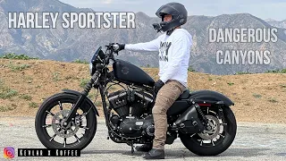 This Canyon Ride Got Dangerous | Harley Iron 883 on Glendora Mountain Road (GMR)