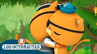 Los Octonautas - Kwazii conoce a su abuelo | Episodios Completos