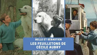 Belle et Sébastien : les séries de Cécile Aubry