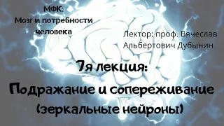 7я лекция  Мозг  подражание и сопереживание зеркальные нейроны Вячеслав Дубынин