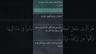 Beautiful Quran recitation- Surah Mulk by Yasser Al Zilai