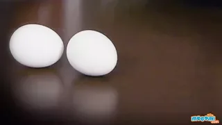 Raw and Boiled Egg Spinning - Cool Science Experiment | Educational Videos by Mocomi