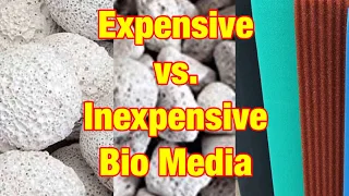 Filtration: Cheap vs. Expensive Bio Media - Is One Really Better than the Other?