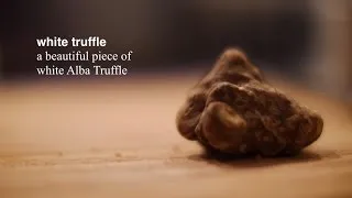 White Truffle from Alba Italy