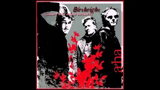 a-ha - Birthright (scene Phaze studio version)