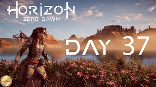 Horizon Zero Dawn. День 37 ➤ Полное прохождение ➤ Собираем ресурсы и бросаем вызов вождю