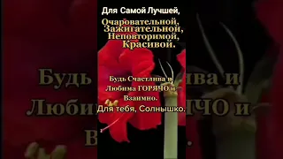 Я БРОШУ МИР К ТВОИМ НОГАМ, ТЕБЯ СОГРЕЮ ВСЕЙ ДУШОЙ!