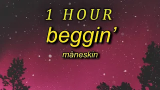 Måneskin - Beggin'  (Lyrics)   i'm begging begging you| 1 HOUR