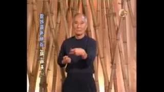 Ip Chun - Siu lim tao