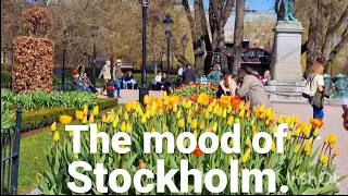 حال و هوای استکهلم.  The mood of Stockholm