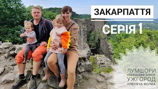 Закарпаття (серія 1): Лумшори, Невицький замок, Ужгород, Оленяча ферма | канал Мамунця