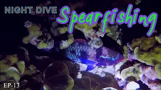 Night Dive Spearfishing in the Marshall Islands [ep13] MAJURO ATOLL