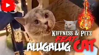 Alugalug Cat Goes Rock😝 Feat Kiffness🎹 & Pitz🎸