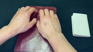 ASMR Whispered Bible Reading | Luke 13 & 14 with Hand Movements and Light Tapping