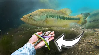 Top 5 BED FISHING Lures For MORE BASS!! (UNDERWATER FOOTAGE!)