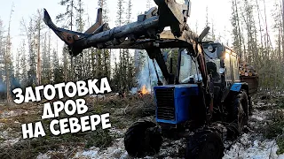 Заготовка дров в тайге на зиму / СУББОТНИКИ как в Советские времена