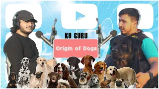 Why are dogs so Loyal? Original vs fake Breed, Gully ka kutta vs foreign Breeds, and much more