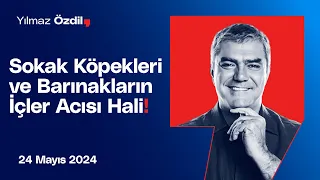 Sokak Köpekleri ve Barınakların İçler Acısı Hali! - Yılmaz Özdil