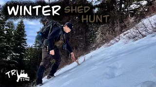 February Shed Hunting BC 2024