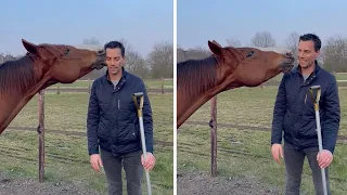 Horse loves to give kisses to favorite human #Shorts