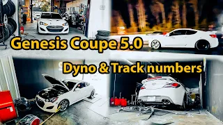 Genesis Coupe 5.0 Dyno & Track numbers