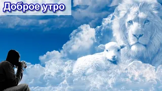 Доброе утро