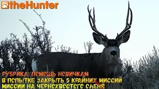 theHunter Classic/Рубрика:помощь новичкам/чернохвостый олень - миссии ч.3/multiplayer