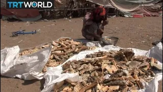 The War in Yemen: Families lack aid access, eat from garbage dump