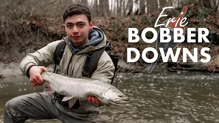 BOBBER DOWN! HOT Winter Steelhead Fishing Erie Tributaries