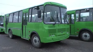 Green buses PAZ. Plenty of new buses for Pskov region