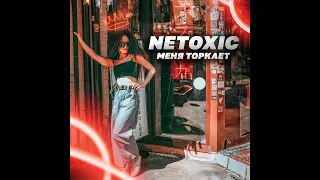 NETOXIC - Меня торкает (audio) - https://zvonko.link/168C552