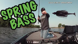 Largemouth Bass in All Stages of the Spawn - Tips to Catch Them