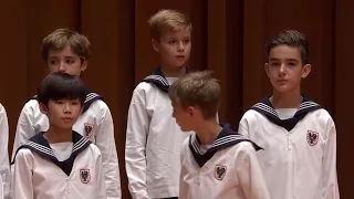 Vienna Boys Choir - I bought me a cat（2019）