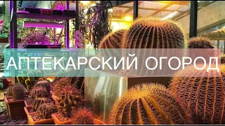 Аптекарский огород 2023