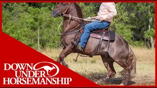 Clinton Anderson: Handling a Rearing Horse - Downunder Horsemanship