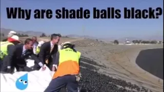 Why are shade balls black?