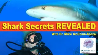 The Secrets of sharks with Dr. Mikki McComb-Kobza: Shaping the Future of Ocean Conservation
