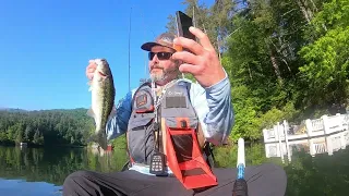 Springtime Big Bass