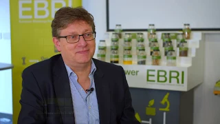EBRI – Helping your business on the path to Net Zero