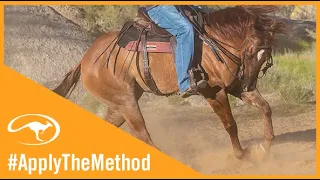 Clinton Anderson: Use Turnarounds to Engage Your Horse on the Trail - Downunder Horsemanship