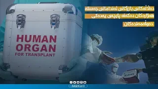 دەڵاڵەکانی بازرگانی ئەندامانی جەستە لە هەرێمی کوردستان